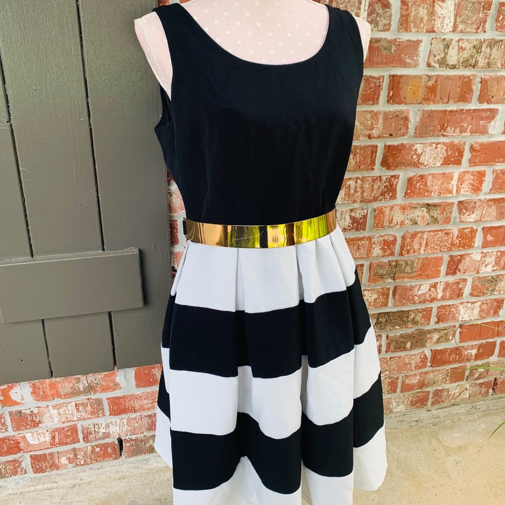 Women’s Swing Skater Dress, Black & White, Medium